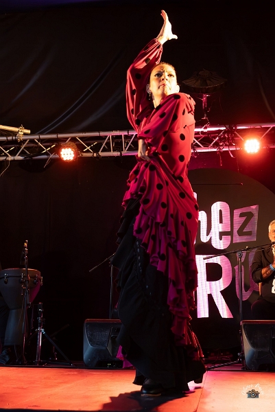 flamenco (86)